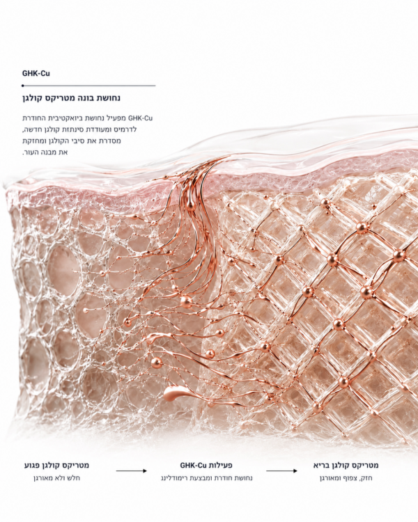 GHK-Cu — skin and collagen research infographic