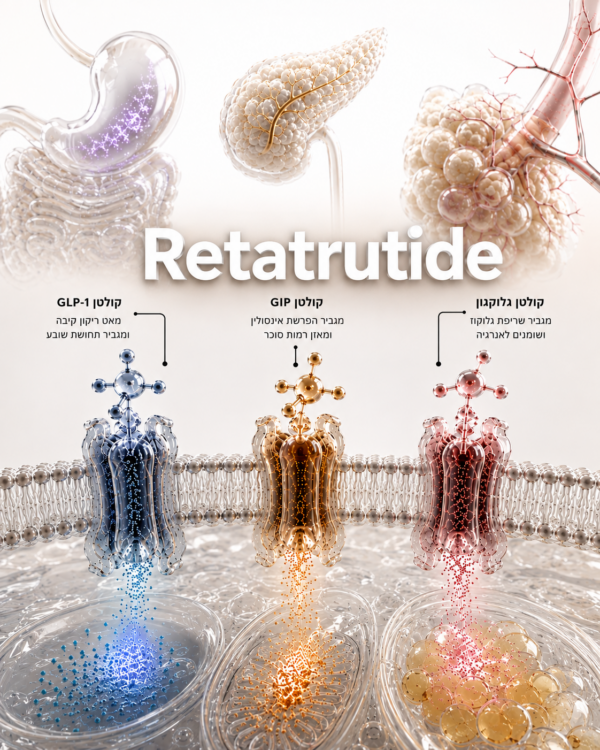 Retatrutide — GLP-1 / GIP / glucagon research infographic