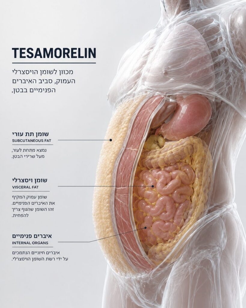 מה זה Tesamorelin? מדריך מלא